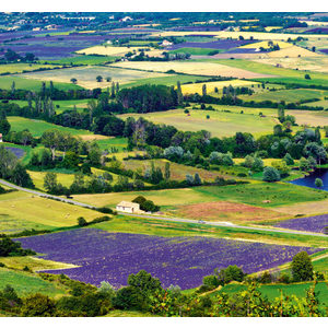 Fotografie k reklamnímu předmětu „Kalendář Provence - vázanka“