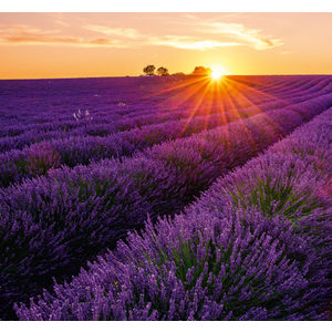 Fotografie k reklamnímu předmětu „Kalendář Provence - vázanka“
