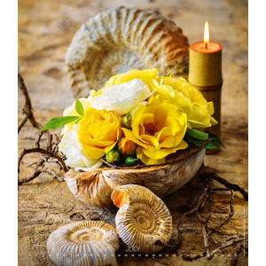 Fotografie k reklamnímu předmětu „Kalendář Live Design“