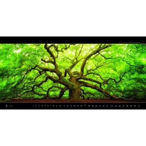 Fotografie k reklamnímu předmětu „Kalendář Panoramaphoto“