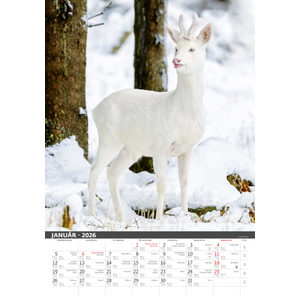 Fotografie k reklamnímu předmětu „Slovenský kalendár Na muške...“