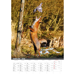 Fotografie k reklamnímu předmětu „Slovenský kalendár Na muške...“