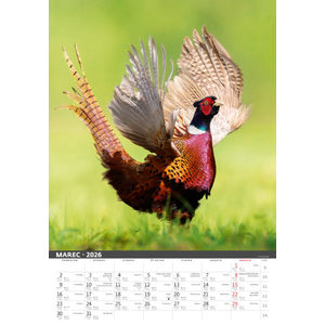 Fotografie k reklamnímu předmětu „Slovenský kalendár Na muške...“