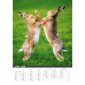 Fotografie k reklamnímu předmětu „Slovenský kalendár Na muške...“