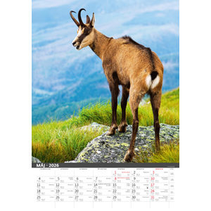 Fotografie k reklamnímu předmětu „Slovenský kalendár Na muške...“