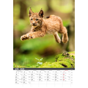 Fotografie k reklamnímu předmětu „Slovenský kalendár Na muške...“