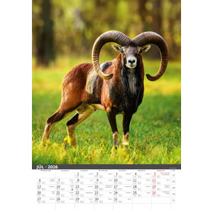 Fotografie k reklamnímu předmětu „Slovenský kalendár Na muške...“