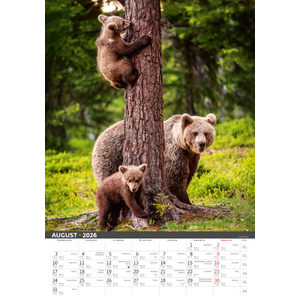 Fotografie k reklamnímu předmětu „Slovenský kalendár Na muške...“