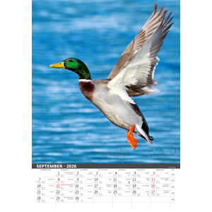 Fotografie k reklamnímu předmětu „Slovenský kalendár Na muške...“