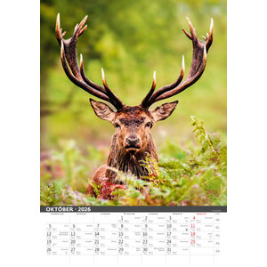 Fotografie k reklamnímu předmětu „Slovenský kalendár Na muške...“