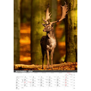 Fotografie k reklamnímu předmětu „Slovenský kalendár Na muške...“