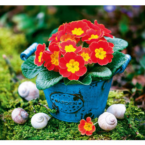 Fotografie k reklamnímu předmětu „Slovenský kalendár Čaro domova - viazanka“