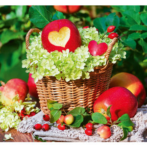 Fotografie k reklamnímu předmětu „Slovenský kalendár Čaro domova - viazanka“