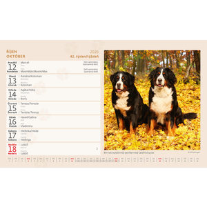 Fotografie k reklamnímu předmětu „Kalendář Pejskové“