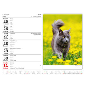 Fotografie k reklamnímu předmětu „Kalendář Kočičky“