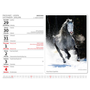 Fotografie k reklamnímu předmětu „Kalendář Koně“