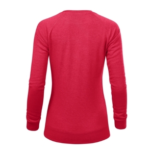 Fotografie k reklamnímu předmětu „Merger - Mikina dámská“