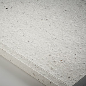 Fotografie k reklamnímu předmětu „Zápisník A5, semínka v deskách SEED BOOK“