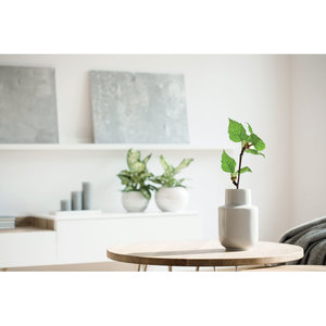 Fotografie k reklamnímu předmětu „Zápisník A5 GROWBOOK™ SAVAGE“