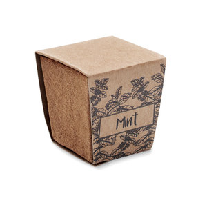 Fotografie k reklamnímu předmětu „Sada na pěstování máty MINT KIT“