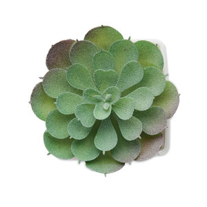 Fotografie k reklamnímu předmětu „Malá umělá rostlinka ARTIECHE“