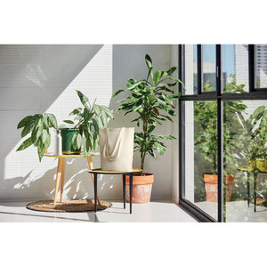 Fotografie k reklamnímu předmětu „Plátěná nákupní taška RASSA“