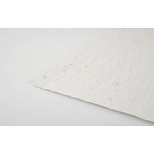 Fotografie k reklamnímu předmětu „List A4 se semínky květin ASIDI“