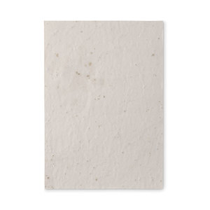 Fotografie k reklamnímu předmětu „List A5 se semínky květin ASIDE“