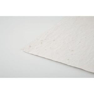 Fotografie k reklamnímu předmětu „List A5 se semínky květin ASIDE“