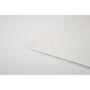 Fotografie k reklamnímu předmětu „List A6 se semínky květin ASIDO“