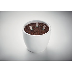 Fotografie k reklamnímu předmětu „Tyčinky se semínky bylinek LEYTI“