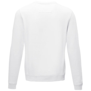 Fotografie k reklamnímu předmětu „Jasper pánský svetr s kulatým límečkem z organického materiálu“