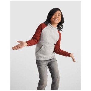 Fotografie k reklamnímu předmětu „Dětská dvoubarevná mikina s kapucí Badet“