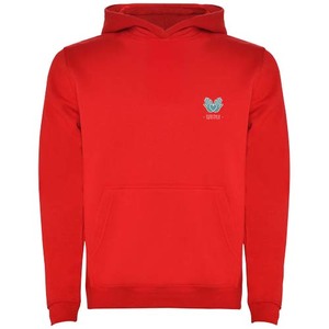 Fotografie k reklamnímu předmětu „Urban dětská mikina s kapucí“