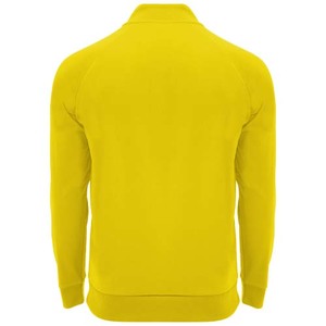 Fotografie k reklamnímu předmětu „Epiro dětská mikina s dlouhým rukávem a čtvrtinovým zipem“