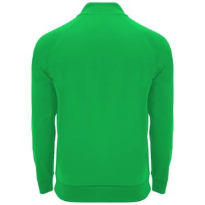 Fotografie k reklamnímu předmětu „Epiro dětská mikina s dlouhým rukávem a čtvrtinovým zipem“