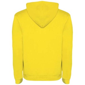 Fotografie k reklamnímu předmětu „Urban pánská mikina s kapucí“