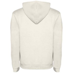 Fotografie k reklamnímu předmětu „Urban pánská mikina s kapucí“