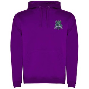 Fotografie k reklamnímu předmětu „Urban pánská mikina s kapucí“