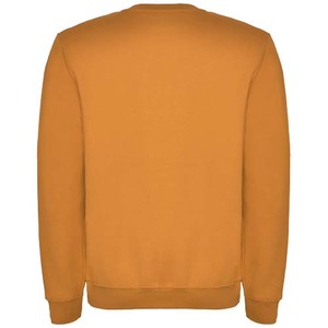 Fotografie k reklamnímu předmětu „Clasica unisex svetr s výstřihem crewneck“