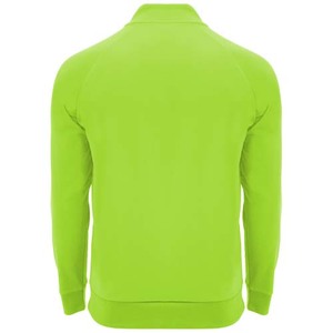 Fotografie k reklamnímu předmětu „Epiro unisex mikina s dlouhým rukávem a čtvrtinovým zipem“