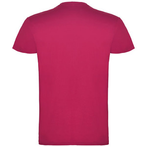 Fotografie k reklamnímu předmětu „Beagle pánské tričko s krátkým rukávem“