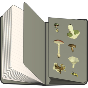 Fotografie k reklamnímu předmětu „NOTIQUE Notes Houby Kateřiny Winterové, linkovaný, 13 x 21 cm“