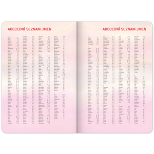 Fotografie k reklamnímu předmětu „Školní diář Růžové pruhy (září 2023 – prosinec 2024), 9,8 × 14,5 cm“