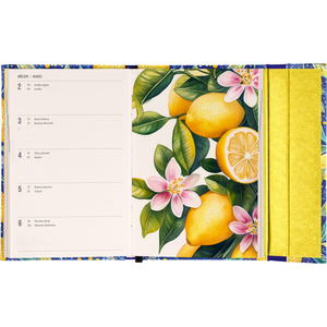 Fotografie k reklamnímu předmětu „NOTIQUE Týdenní magnetický diář Citrony 2026, 11 x 16 cm“