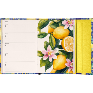 Fotografie k reklamnímu předmětu „NOTIQUE Týdenní magnetický diář Citrony 2026, 11 x 16 cm“