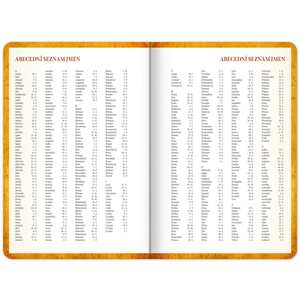 Fotografie k reklamnímu předmětu „NOTIQUE Studentský diář Harry Potter – Bradavice (září 2025 – prosinec 2026), 9,8 x 14,5 cm“