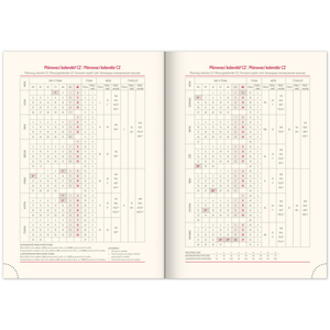 Fotografie k reklamnímu předmětu „NOTIQUE Denní diář Panama 2026, červený, 15 x 21 cm“