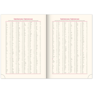 Fotografie k reklamnímu předmětu „NOTIQUE Denní diář Panama 2026, zelený, 15 x 21 cm“