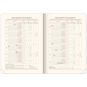 Fotografie k reklamnímu předmětu „NOTIQUE Denní diář Twill 2026, černo-zlatý, 15 x 21 cm“